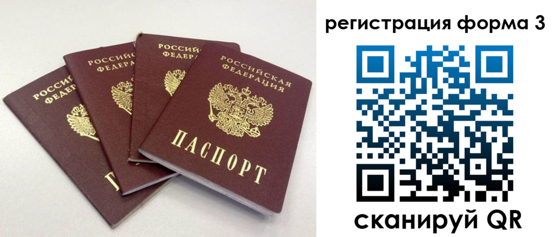 прописка 2025 в Болотном